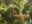 cos11-kayaking-and-wildlife-spotting-free-cre
