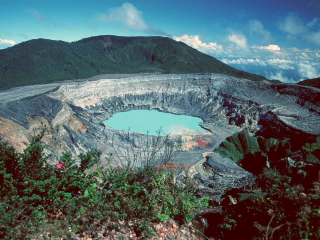 cos15-poas-free-istock-colourcorrect