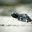 cos16-snorkellingmarinereserve-free-cm-changedimage