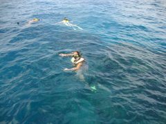 cos17-snorkellingmarinereserve-free-cm cos17-snorkellingmarinereserve-free-cm