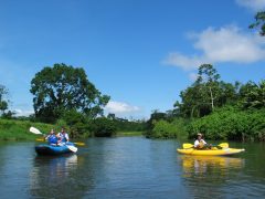 cos21-kayaking-through-the-mangroves-free-crreps cos21-kayaking-through-the-mangroves-free-crreps