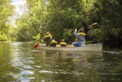 COS_Arenal_Kayaking_Shutterstock