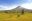 COS_Arenal_ShutterStock_freewithcredit