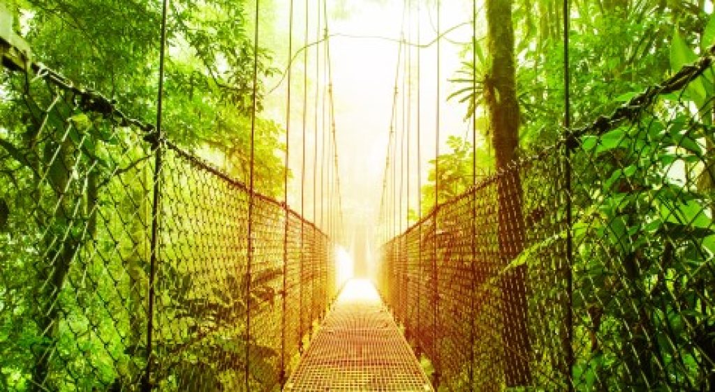 Bridge in the Arenal