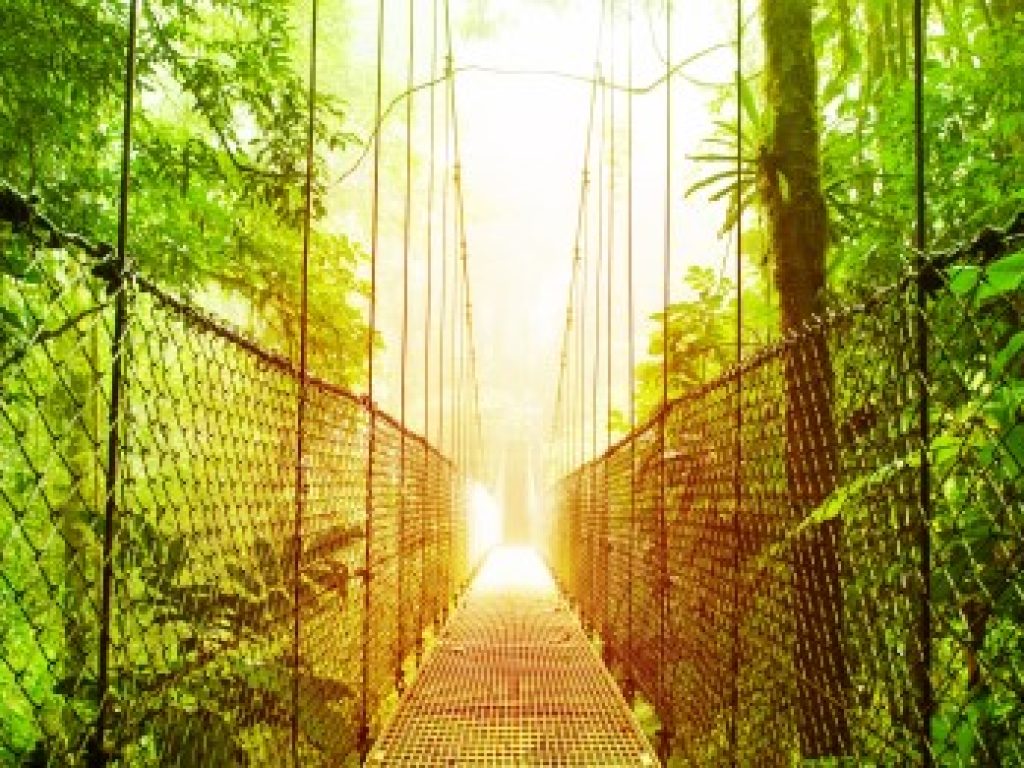 Bridge in the Arenal