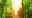 COS_ArenalBridgeCrop_shutterstock128460248_freewithcredit