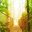 COS_ArenalBridgeCrop_shutterstock128460248_freewithcredit