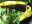 COS_ChestnutMandibledToucan_ToucanRescueRanch_freewithcredit