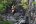 COS_RioPerdido_CanyonAdventure_web_freewithcredit COS_RioPerdido_CanyonAdventure_web_freewithcredit
