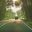 COS_SelfDrive_free_TP-banner