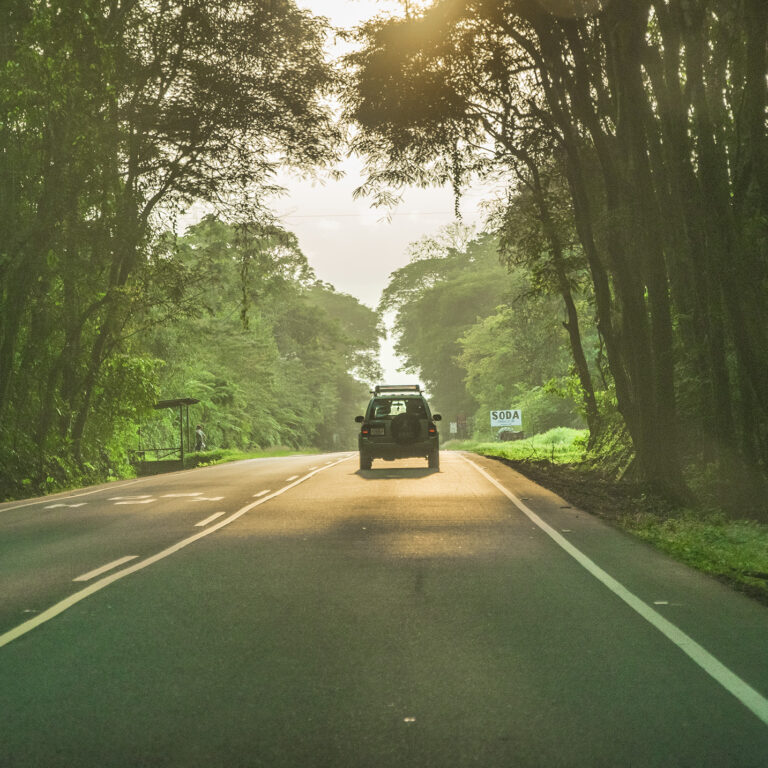 COS_SelfDrive_free_TP-banner