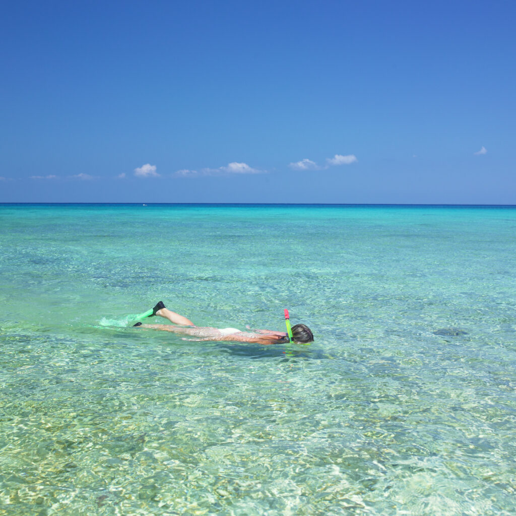 CUB04_CUB_snorkelling_shutterstock76187761_freewithcredit