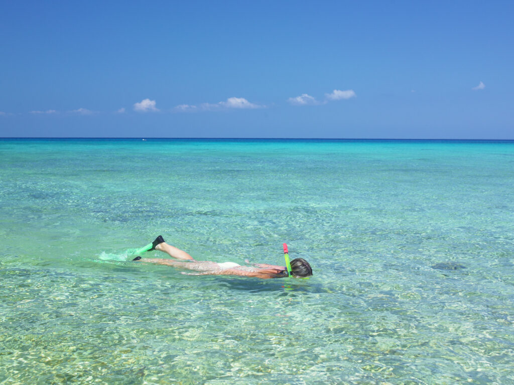 CUB04_CUB_snorkelling_shutterstock76187761_freewithcredit