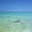 CUB04_CUB_snorkelling_shutterstock76187761_freewithcredit