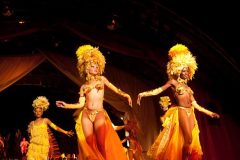 cub11-club-tropicana-free-lat cub11-club-tropicana-free-lat