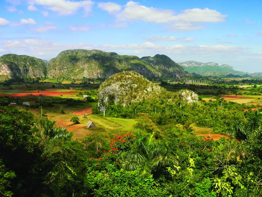 cub28-vinales-free-istock-000001570178