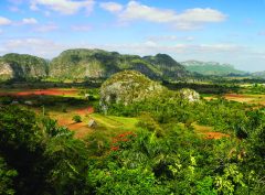cub28-vinales-free-istock-000001570178 cub28-vinales-free-istock-000001570178