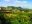 cub28-vinales-free-istock-000001570178