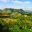 cub28-vinales-free-istock-000001570178