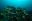 ecu12-diving-in-the-galapagos-metro-free