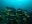 ecu12-diving-in-the-galapagos-metro-free