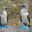 ecu15-bird-watching-in-the-galapagos-latin-trails-free