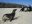 ecu16-wildlife-watching-in-the-galapagos-jl-free ecu16-wildlife-watching-in-the-galapagos-jl-free