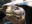 ECU17CharlesDarwinResearchCentreLonesomeGeorgefreeIM