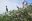 ecu18-explore-the-mangroves-tropic-free