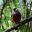 ecu21-explore-the-cloud-forest-dn-free