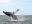 ecu24-whale-watching-free-advantagetravel