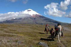 ecu28-cotopaxi-national-park-free ecu28-cotopaxi-national-park-free