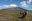 ecu28-cotopaxi-national-park-free