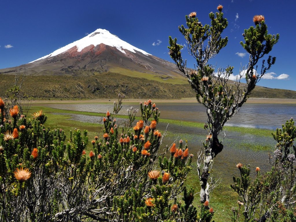 ecu30-visit-cotopaxi-national-park-free-istock
