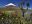 ecu30-visit-cotopaxi-national-park-free-istock