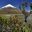 ecu30-visit-cotopaxi-national-park-free-istock