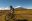 Mountain bike Cotopaxi