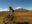 Mountain bike Cotopaxi