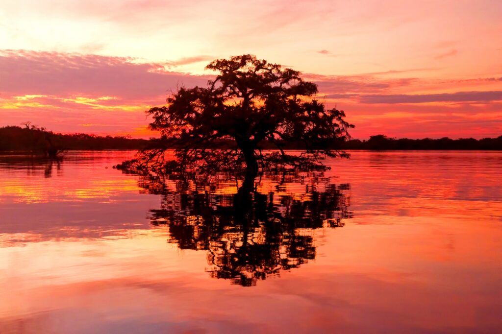 Ecuador_TheEcuadorianAmazon_ShutterStock-3