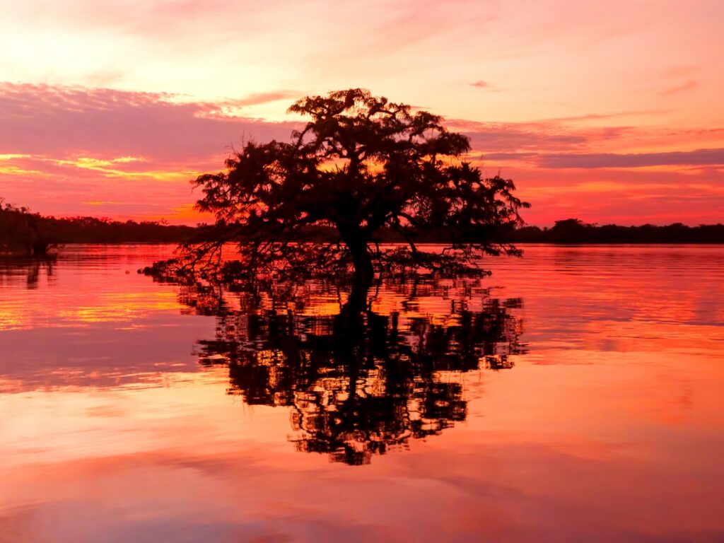 Ecuador_TheEcuadorianAmazon_ShutterStock-3