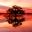 Ecuador_TheEcuadorianAmazon_ShutterStock-3