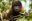 Ecuador_TheEcuadorianAmazon_ShutterStock