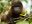 Ecuador_TheEcuadorianAmazon_ShutterStock