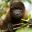 Ecuador_TheEcuadorianAmazon_ShutterStock