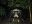 ECUHTL51_Amazon_Anakonda_AdvantageTravel_freewithcreit