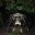 ECUHTL51_Amazon_Anakonda_AdvantageTravel_freewithcreit