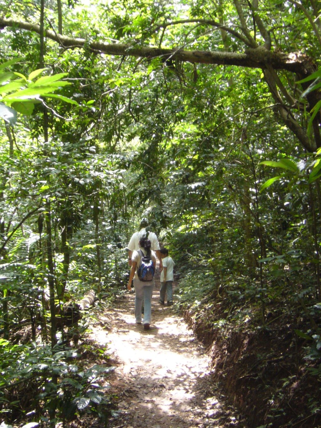 sal04-el-imposible-national-park-free-ra-1