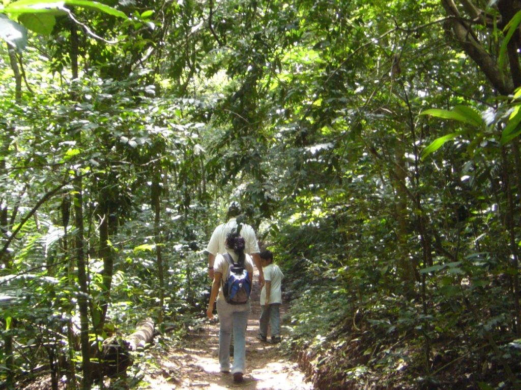sal04-el-imposible-national-park-free-ra-1