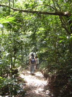 sal04-el-imposible-national-park-free-ra-1 sal04-el-imposible-national-park-free-ra-1