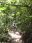 sal04-el-imposible-national-park-free-ra-1